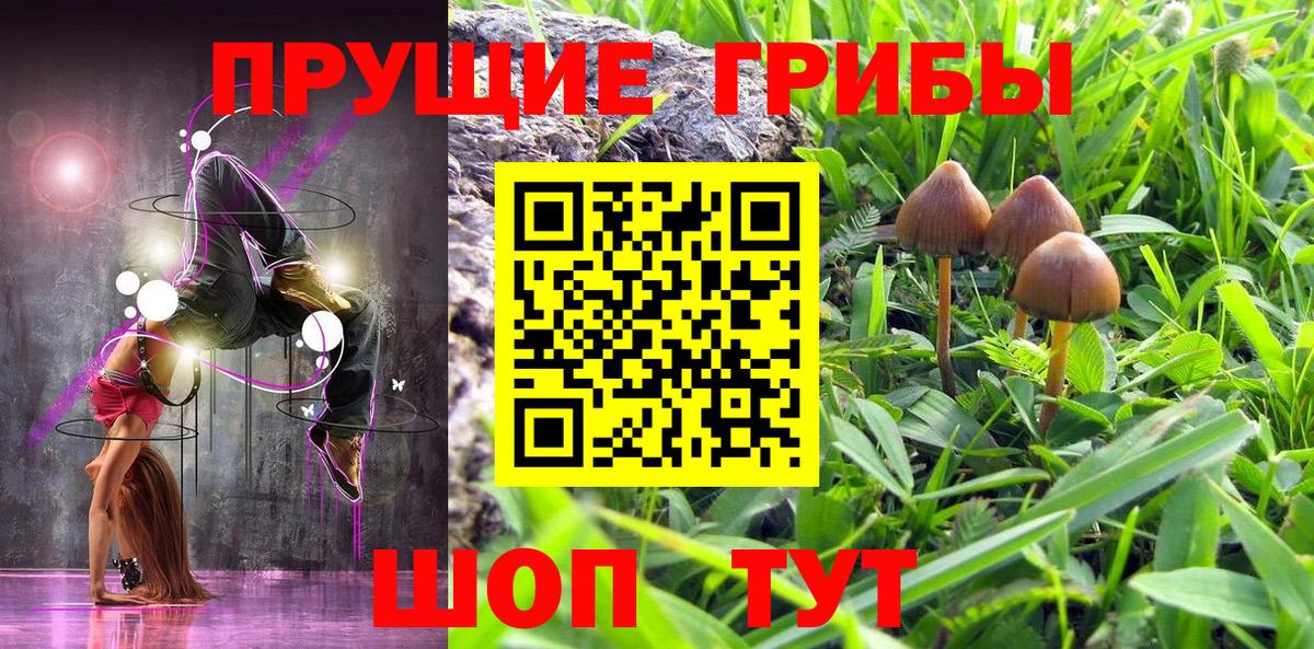 Псилоцибиновые грибы ЛСД Иркутск